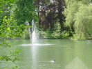 See im Elisabeth-Park